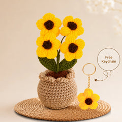 Crochet Sunshine Bloom Pot