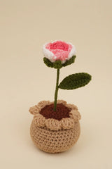 Shaded Rose Pot