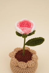Shaded Rose Pot