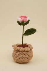 Shaded Rose Pot