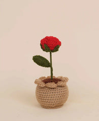Rose Pot