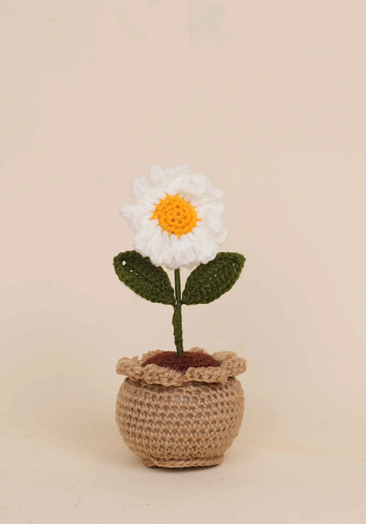 Daisy Pot