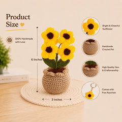 Crochet Sunshine Bloom Pot