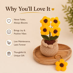 Crochet Sunshine Bloom Pot