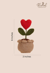 Floreal Bundle of Love