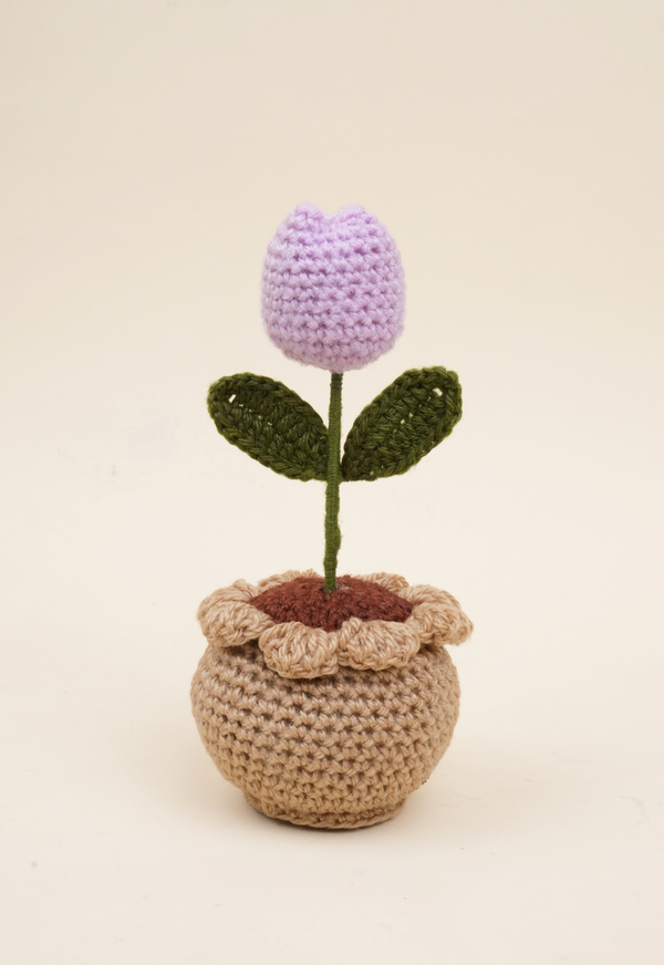 Tulip Pot