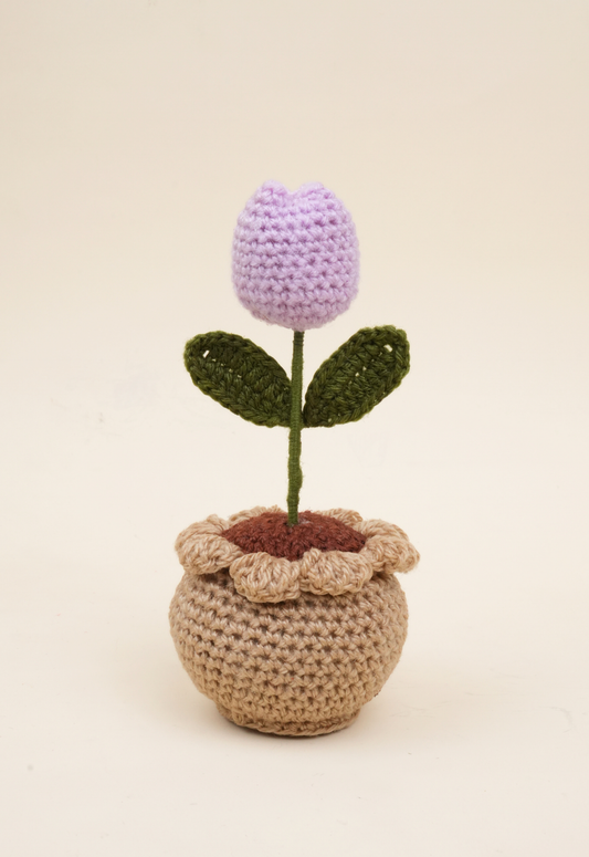 Tulip Pot