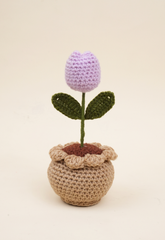 Tulip Pot