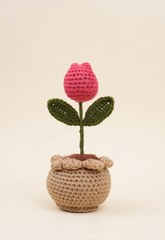 Tulip Pot
