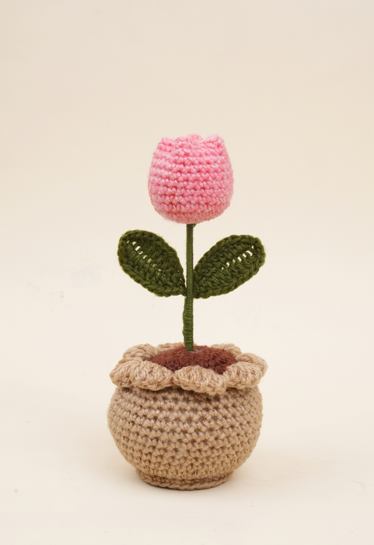 Tulip Pot