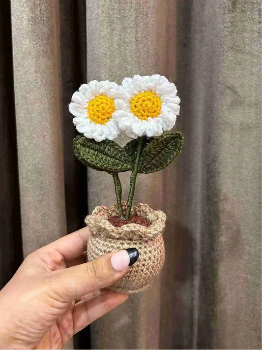 Double Daisy Pot