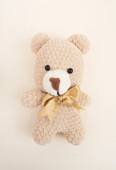 Teddy Baby Gift Set