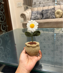 Daisy Pot