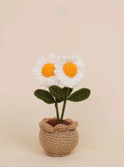 Double Daisy Pot
