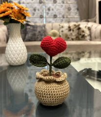 heart pot