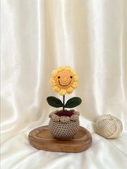 Smiley Sunflower Pot