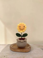 Smiley Sunflower Pot