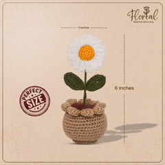 Daisy Pot