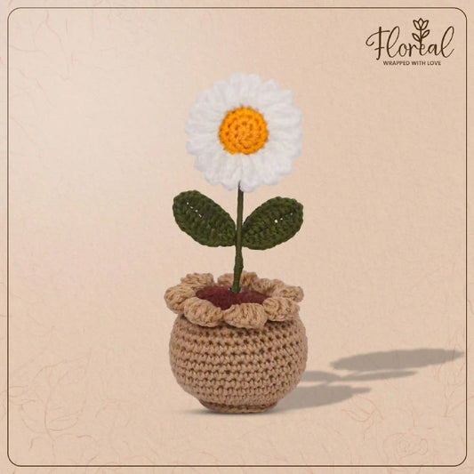 Daisy Pot