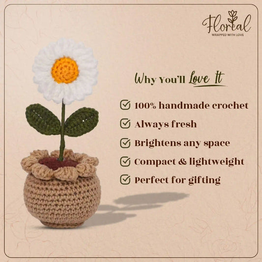 Daisy Pot